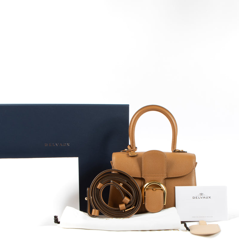 Shop this authentic Delvaux Vegetal Rodeo Calf Brillant Mini Bag pre-loved on Labellov.com