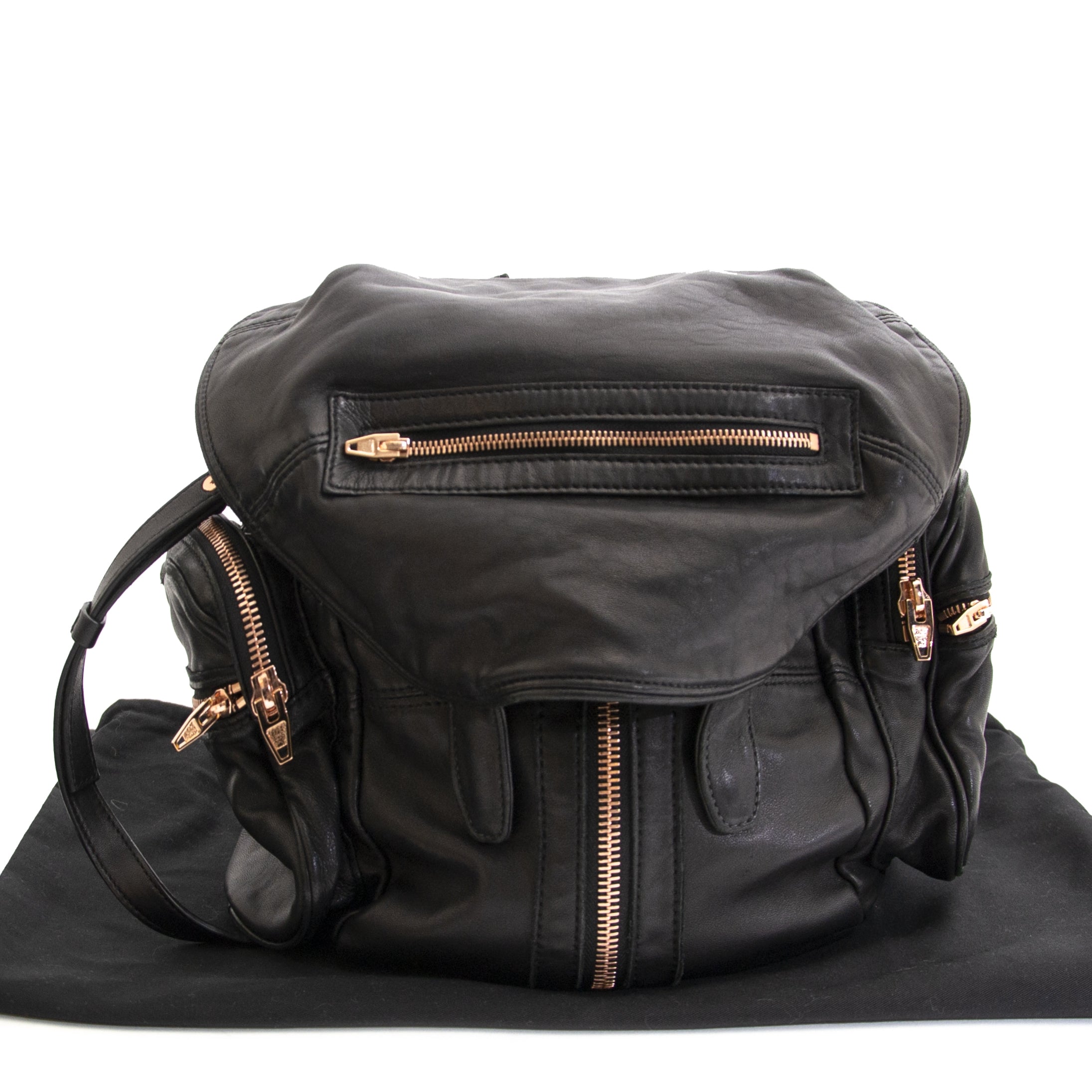 バッグ alexander wang\