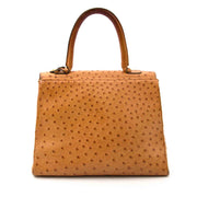 Shop luxury items in Antwerp like Delvaux Brillant MM Ostrich Bag