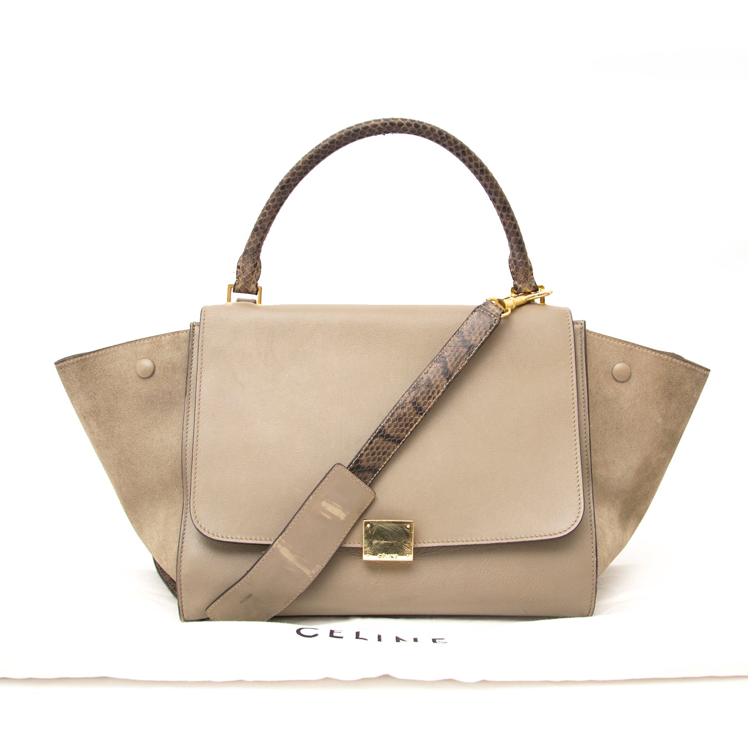 comme neuf sac a main Celine trapeze python tres bon etat