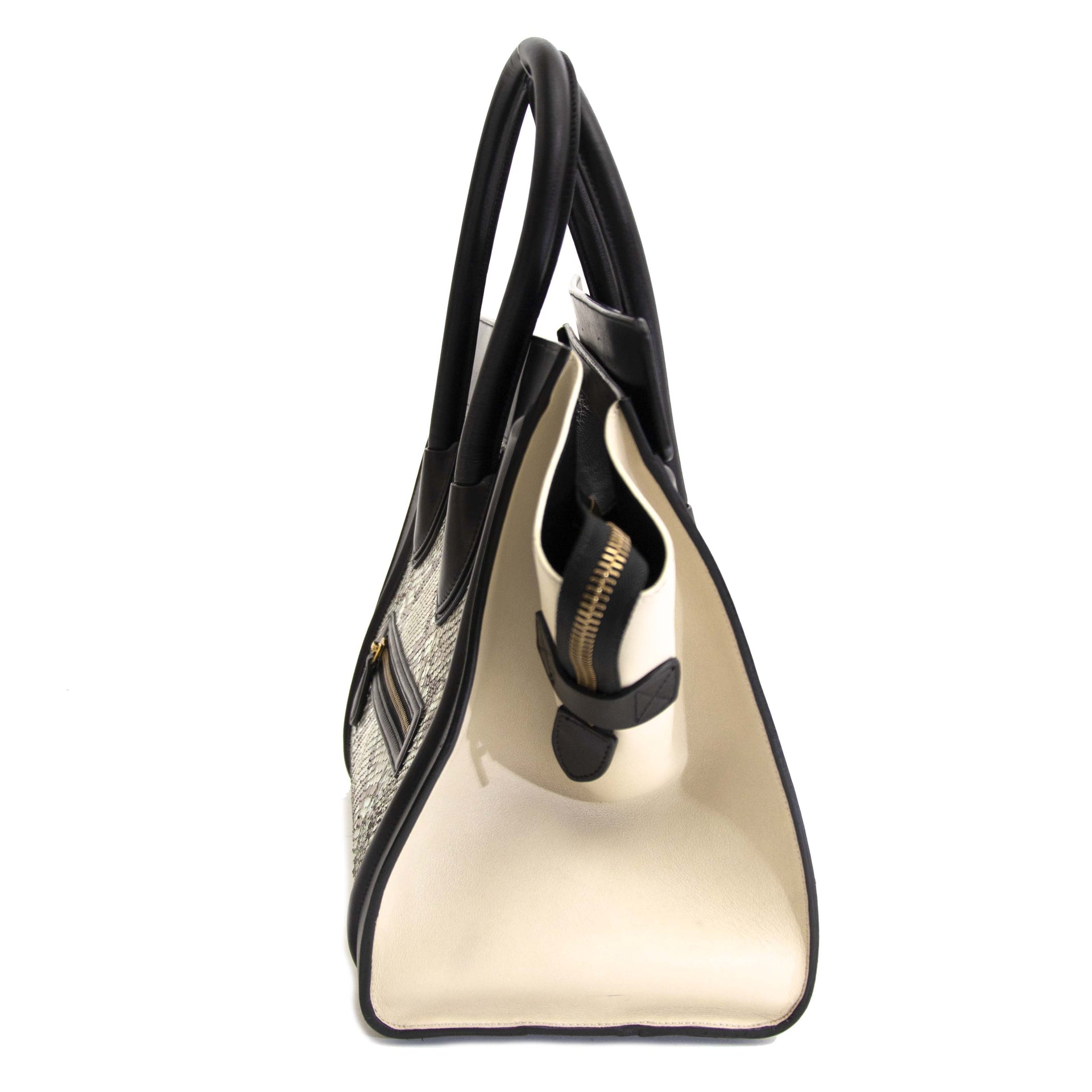 Celine Tri Color Python Luggage