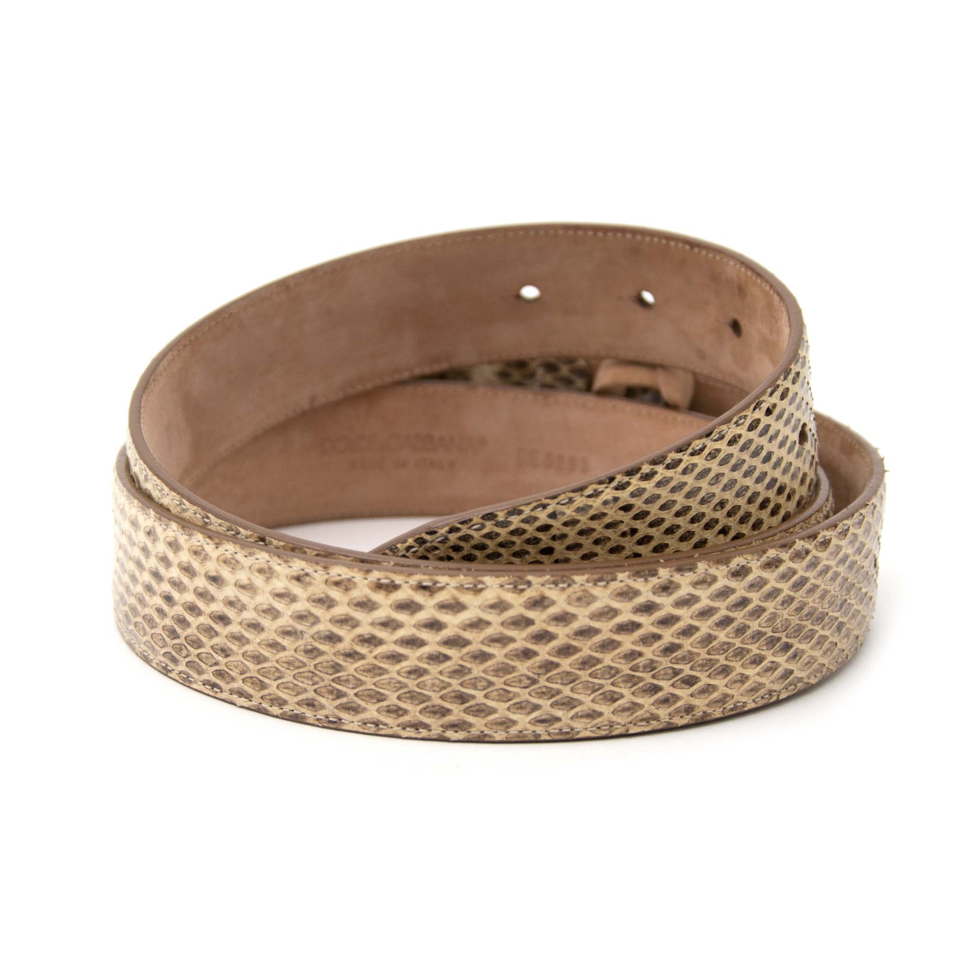 Op zoek naar een leuke riem? Deze D&G Snake Print Logo Belt riem is nu te koop bij www.labellov.com, modieuze accessoires aan betaalbare prijzen.