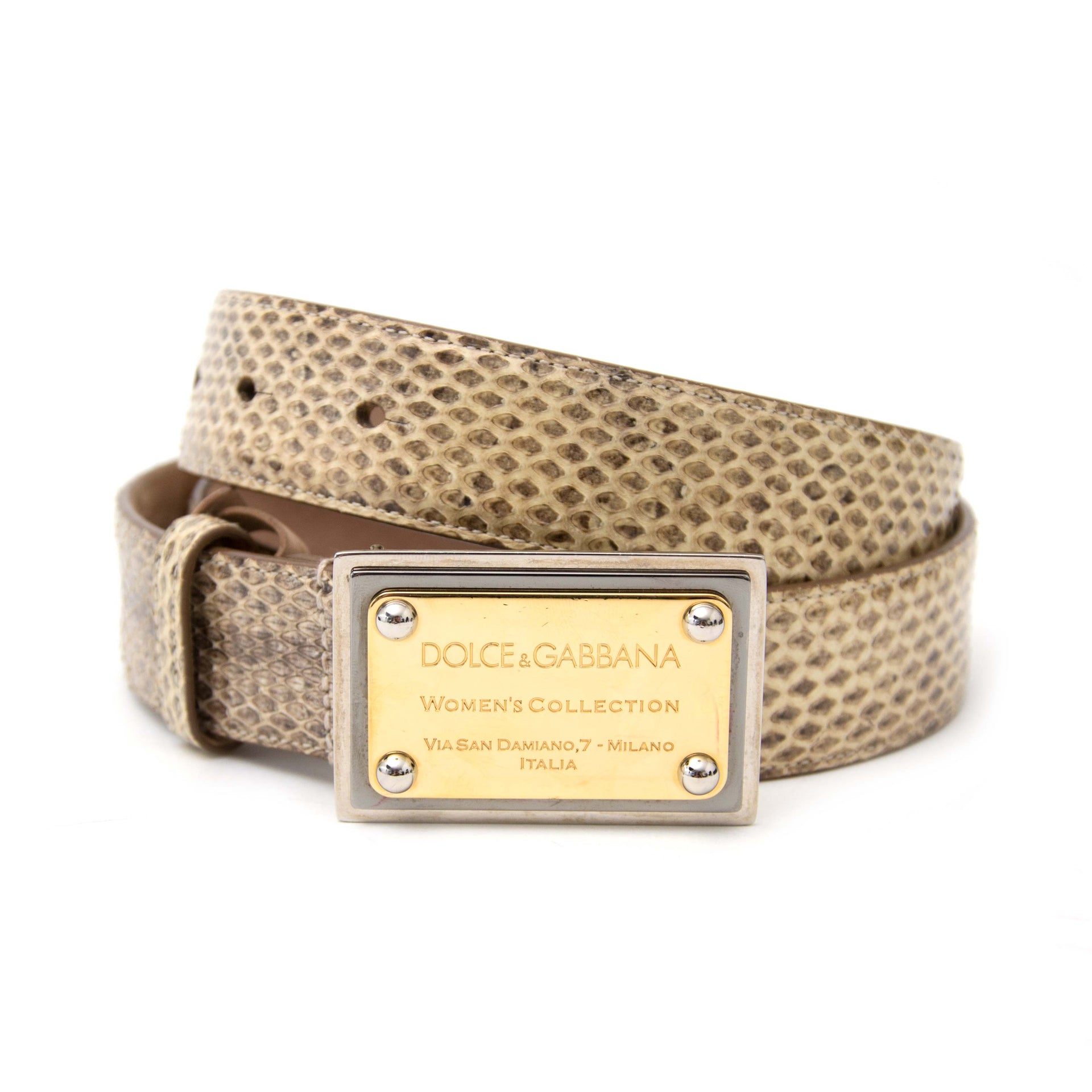 D&G Snake Print Logo Belt for sale www.labellov.com, 100% authentic designer items for sale.