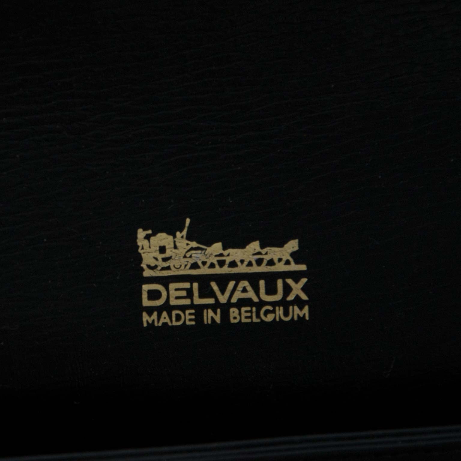 Delvaux vintage fashion bags and accessories online at Labellov
