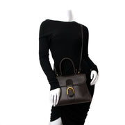 shop veilig tweedehands aan de beste prijs Delvaux Brown Brillant MM + Strap