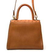 Delvaux Brillant Ostrich