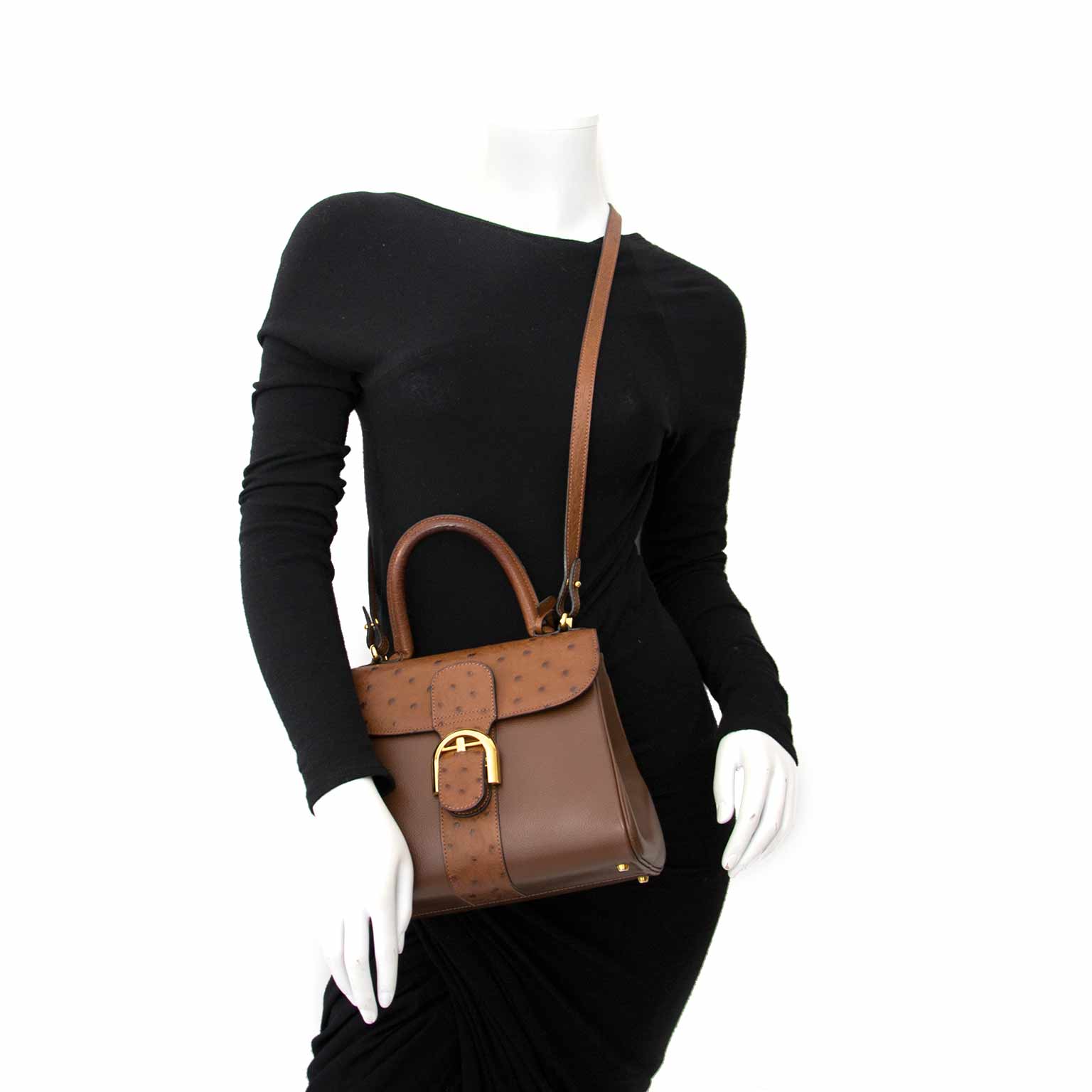 delvaux brillant PM ostrich now online at labellov.com for the best price