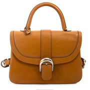 Delvaux Brillant Rouilly Cognac Top Handle Bag