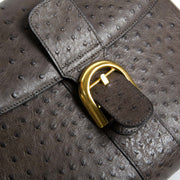 delvaux brillant ostrich MM palissandre bag now for sale at labellov vintage fashion webshop belgium