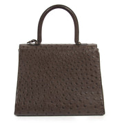 delvaux brillant ostrich MM palissandre bag now for sale at labellov vintage fashion webshop belgium