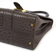 delvaux brillant ostrich MM palissandre bag now for sale at labellov vintage fashion webshop belgium