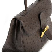 delvaux brillant ostrich MM palissandre bag now for sale at labellov vintage fashion webshop belgium