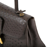 delvaux brillant ostrich MM palissandre bag now for sale at labellov vintage fashion webshop belgium