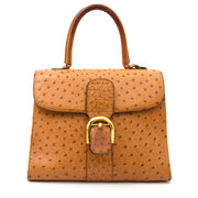 Acheter en ligne chez Labellov.com Delvaux Brillant MM Ostrich Bag