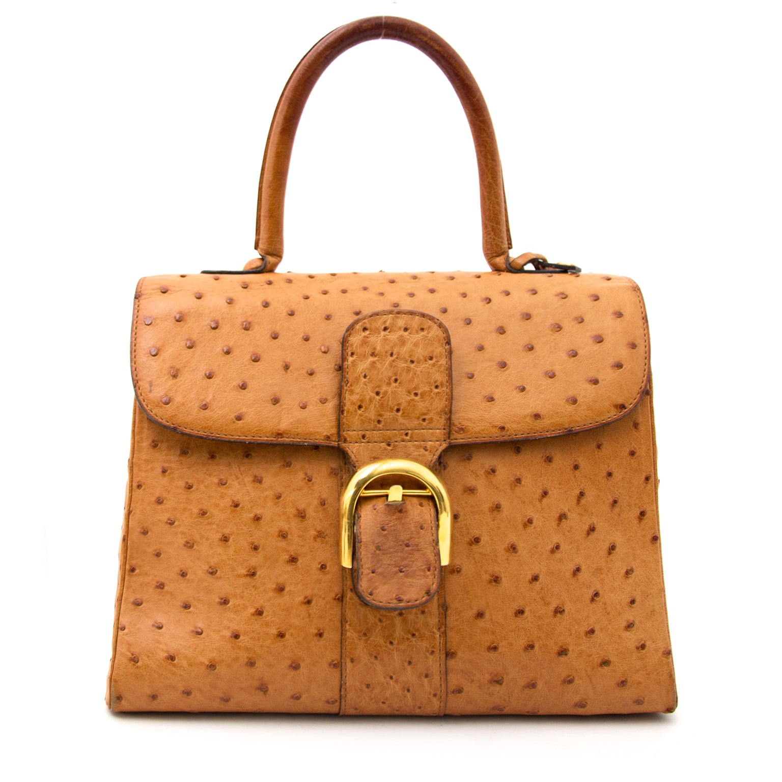 Acheter en ligne chez Labellov.com Delvaux Brillant MM Ostrich Bag