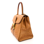 Looking for a Delvaux Brillant MM Ostrich Bag?