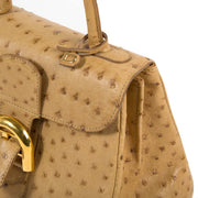 Delvaux Brillant Mini Ostrich Bag
