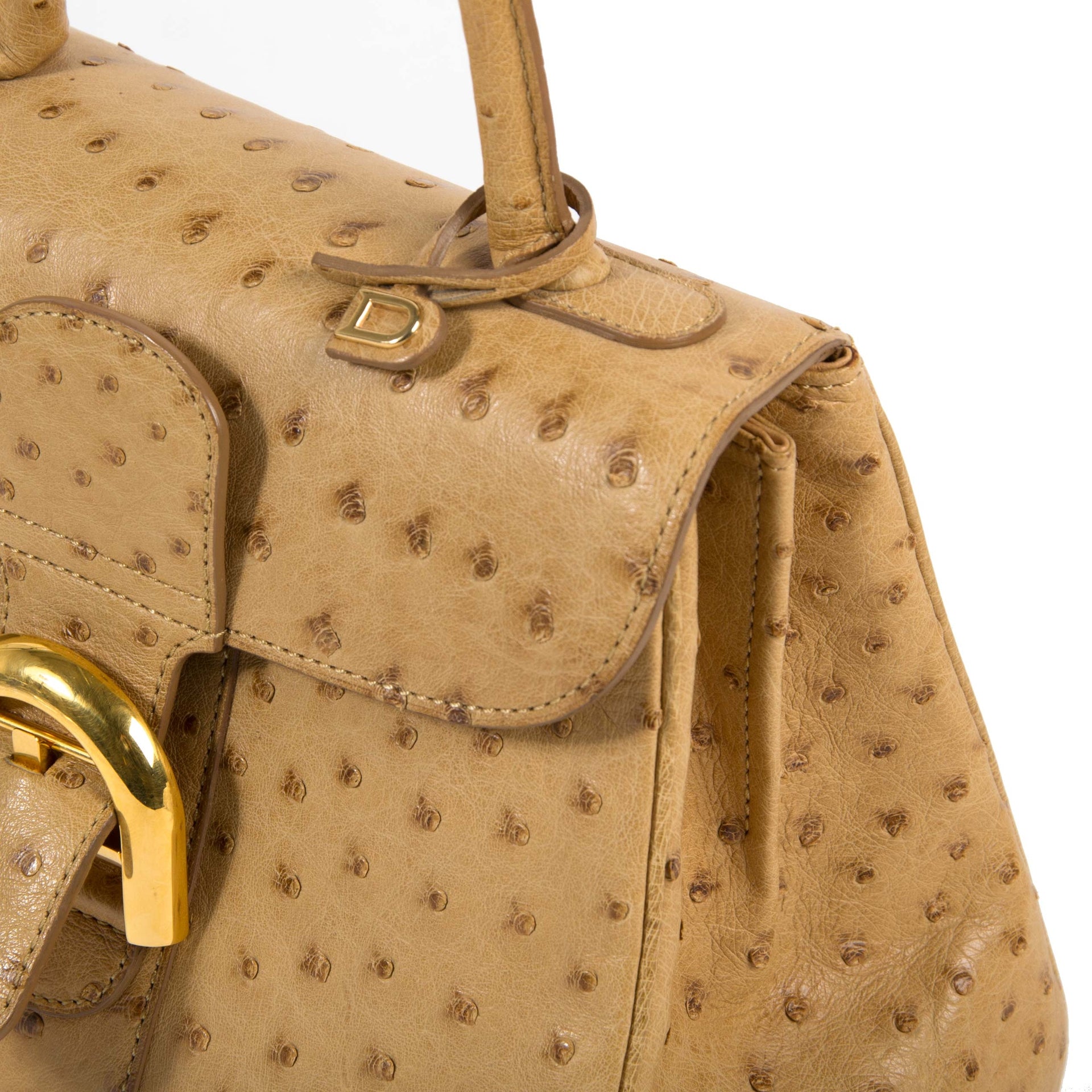 Delvaux Brillant Mini Ostrich Bag