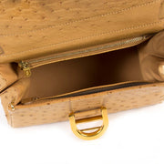 Delvaux Brillant Mini Ostrich Bag