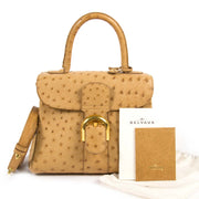 Buy your Delvaux Brillant PM Ostrich Sahara Bag