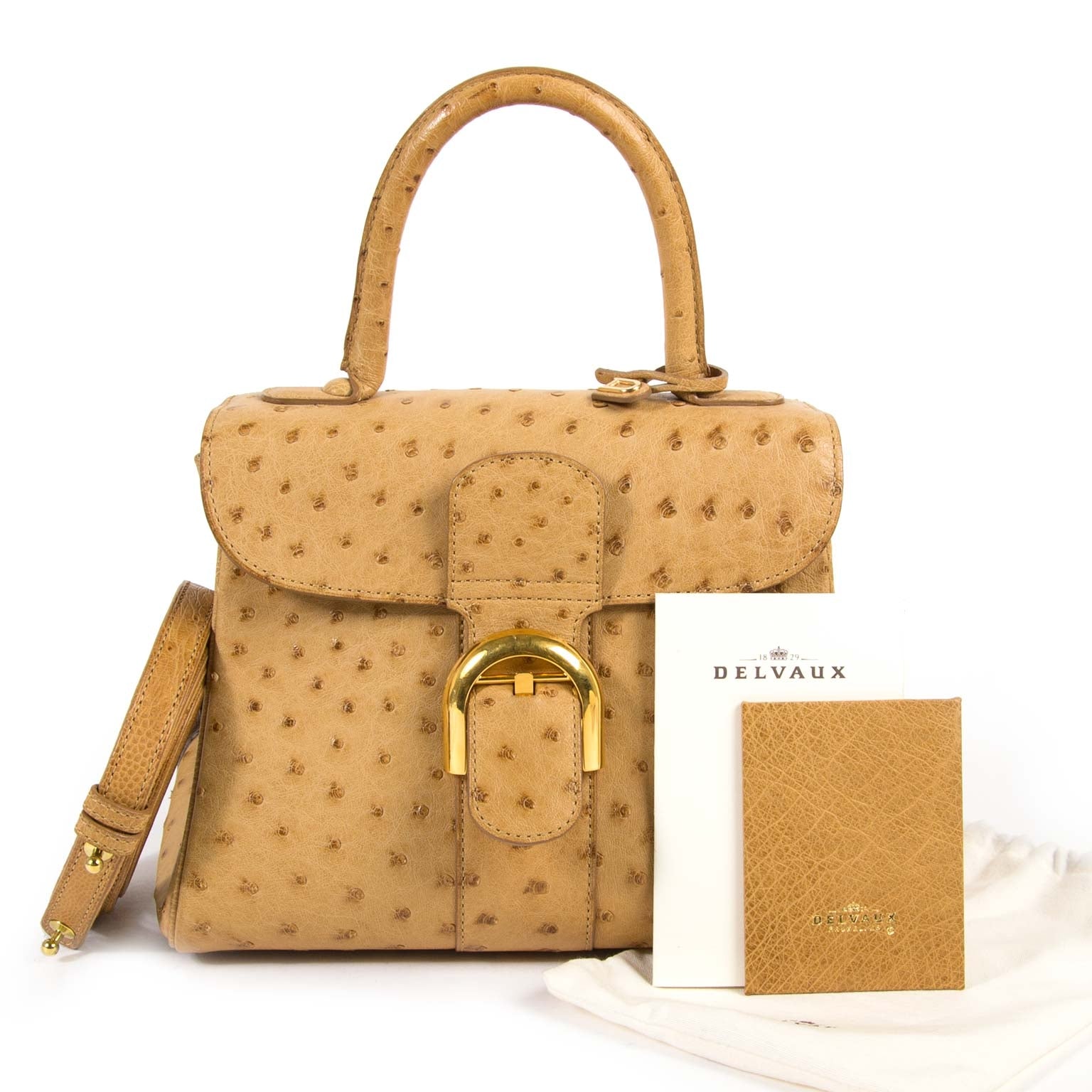 Buy your Delvaux Brillant PM Ostrich Sahara Bag