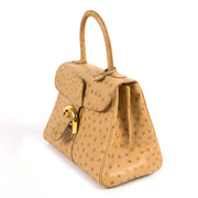 Delvaux Brillant Mini Ostrich Bag