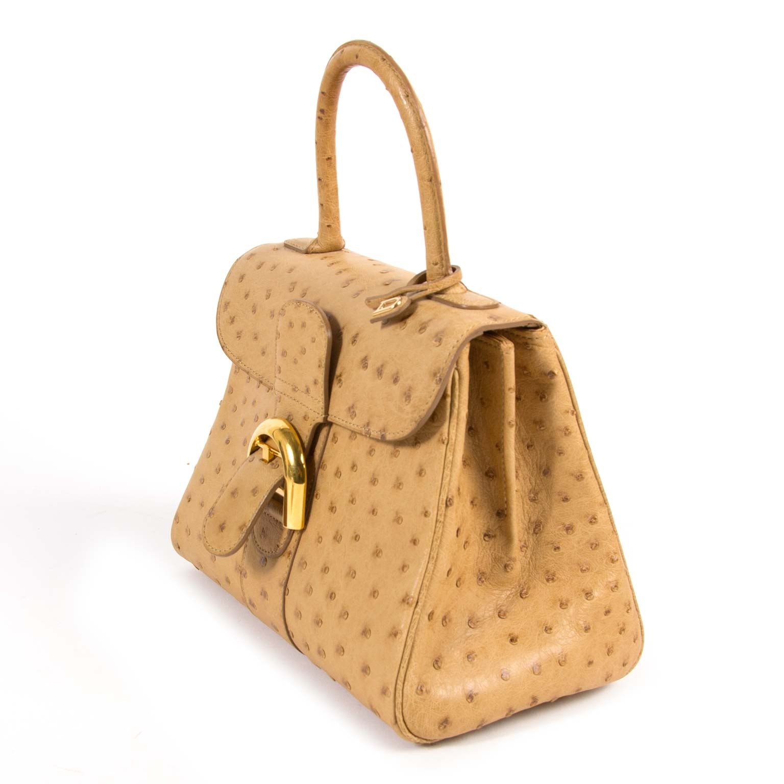 Delvaux Brillant Mini Ostrich Bag