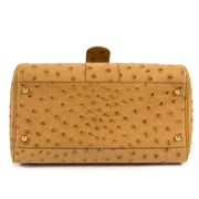 Delvaux Brillant Mini Ostrich Bag