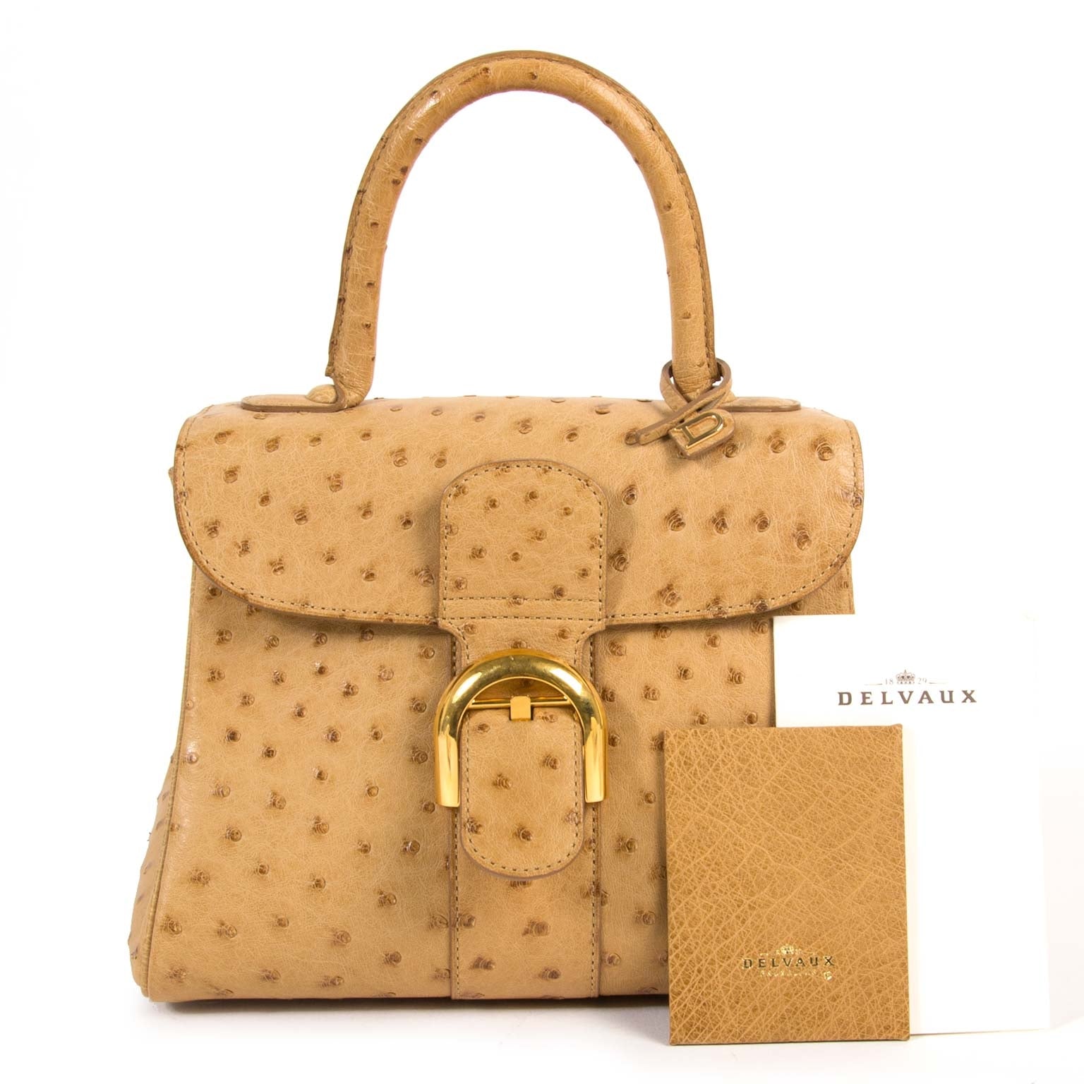 Delvaux Brillant PM Ostrich Sahara Bag
