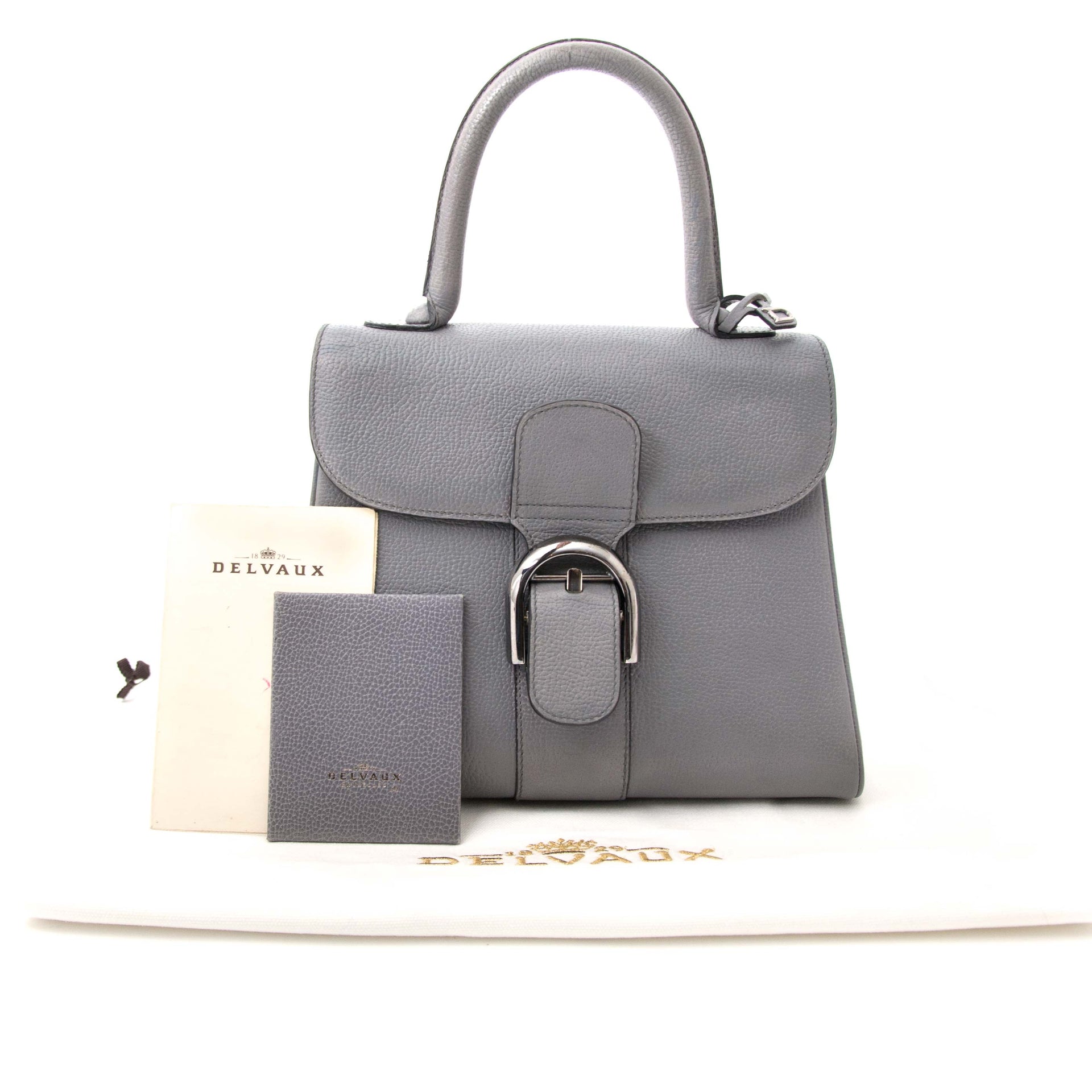 Delvaux Grijze Brillant Pm