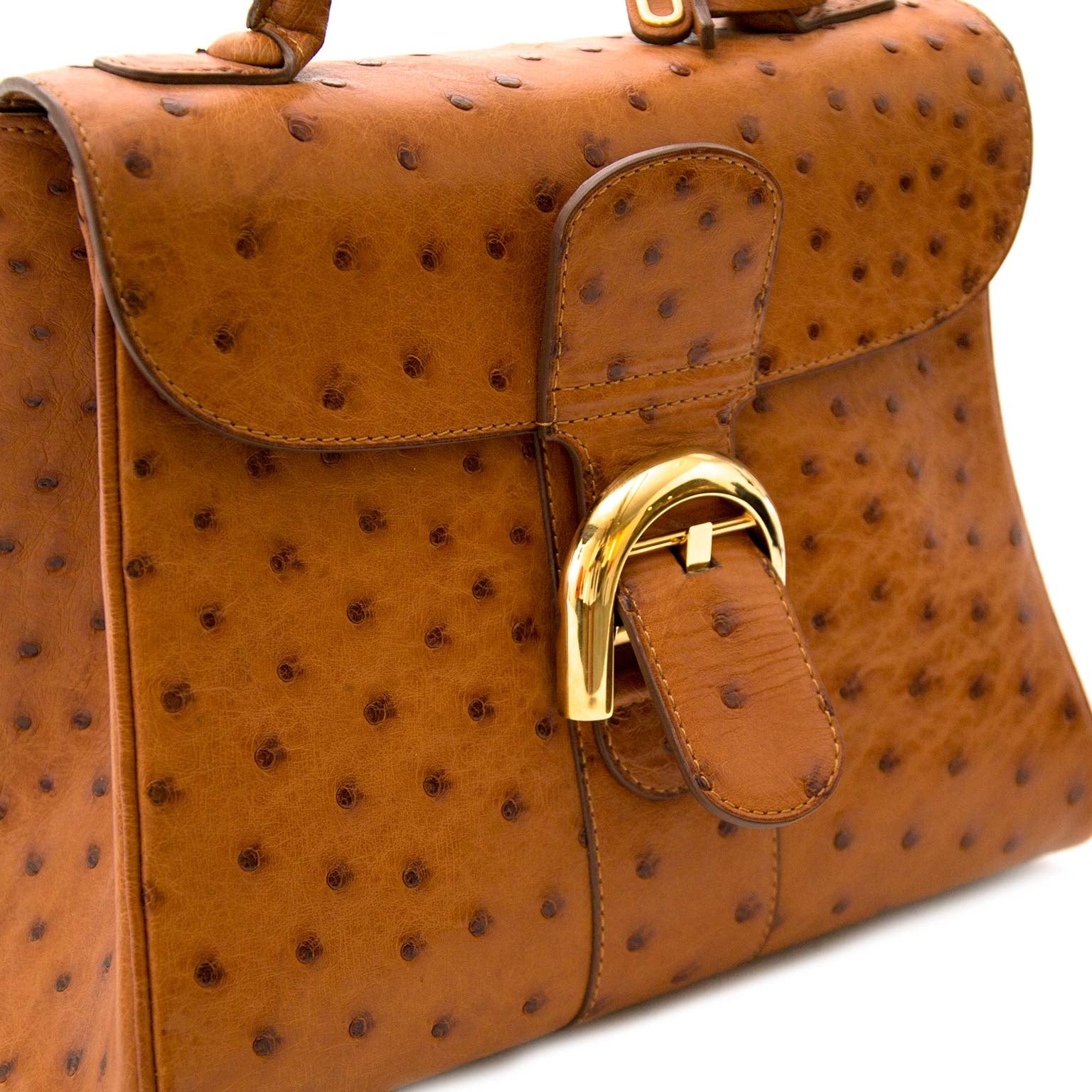 Labellov vintage mode webshop met authentieke Delvaux Brillant PM Ostrich tassen
