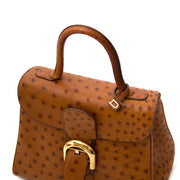 Labellov vintage fashion webshop with authentic Delvaux Brillant PM Ostrich Bags