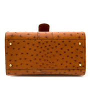 Buy Ostrich Delvaux Brillant bags now online at Labellov vintage fashion webshop