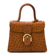 Buy authentic delvaux brillant ostrich bags now at Labellov vintage fashion webshop