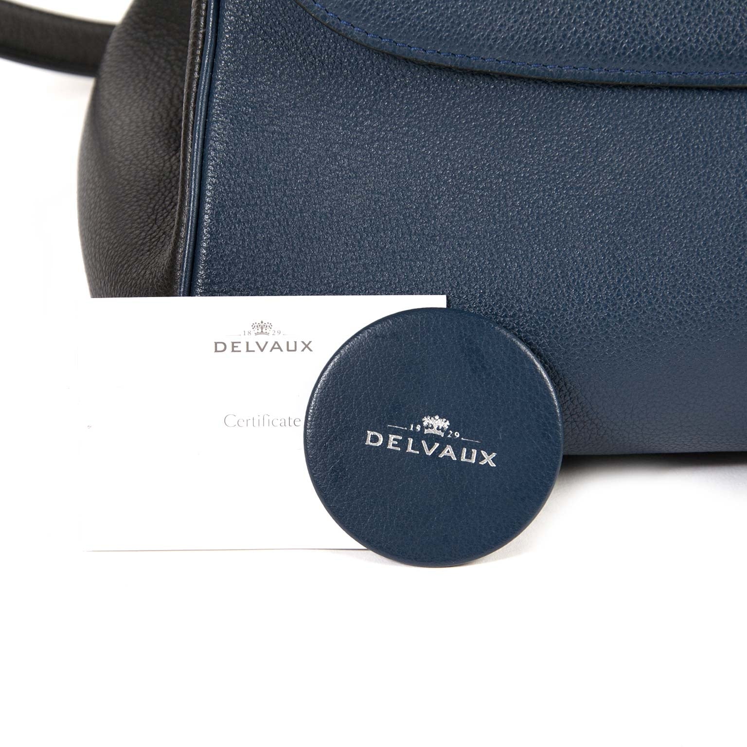Delvaux Brillant East West Bicolor Bag Sellier Bicolore Calanque PA 00 te koop