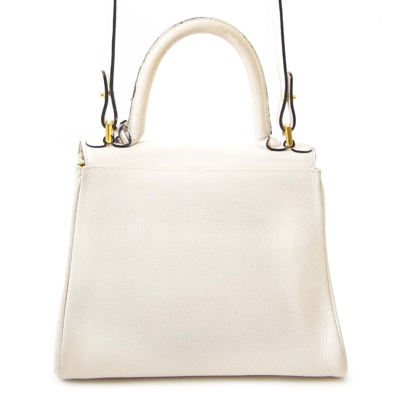 authentic Delvaux Brillant White PM Bag + Strap for sale at labellov