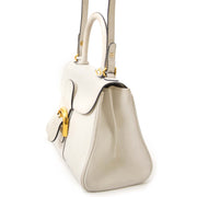 authentieke Delvaux Brillant White PM Bag + Strap te koop bij labellov