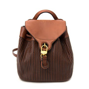 koop veilig online tegen de beste prijs Delvaux Brown Toile De Cuir Backpack