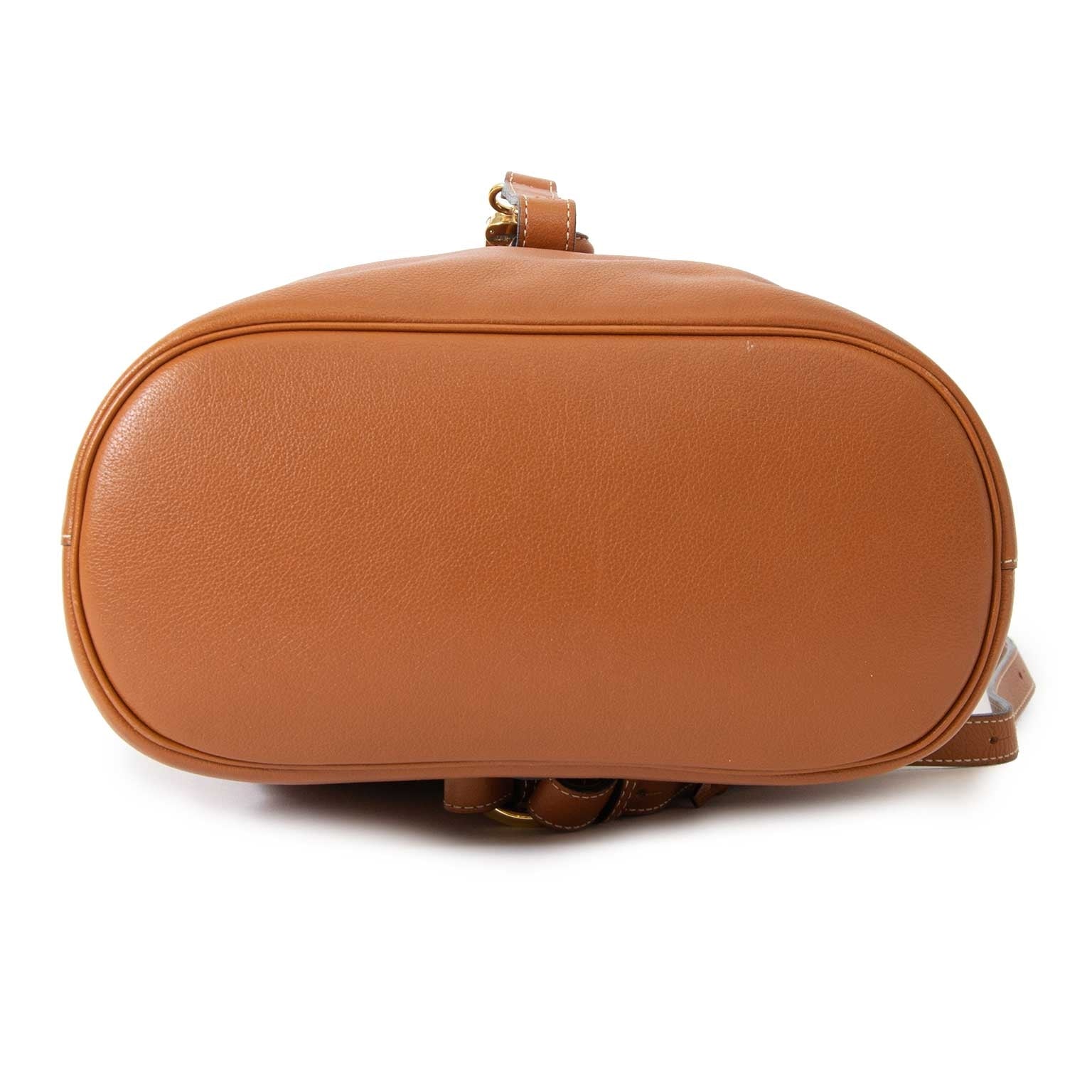 Delvaux Cognac Soleil PM Backpack te koop