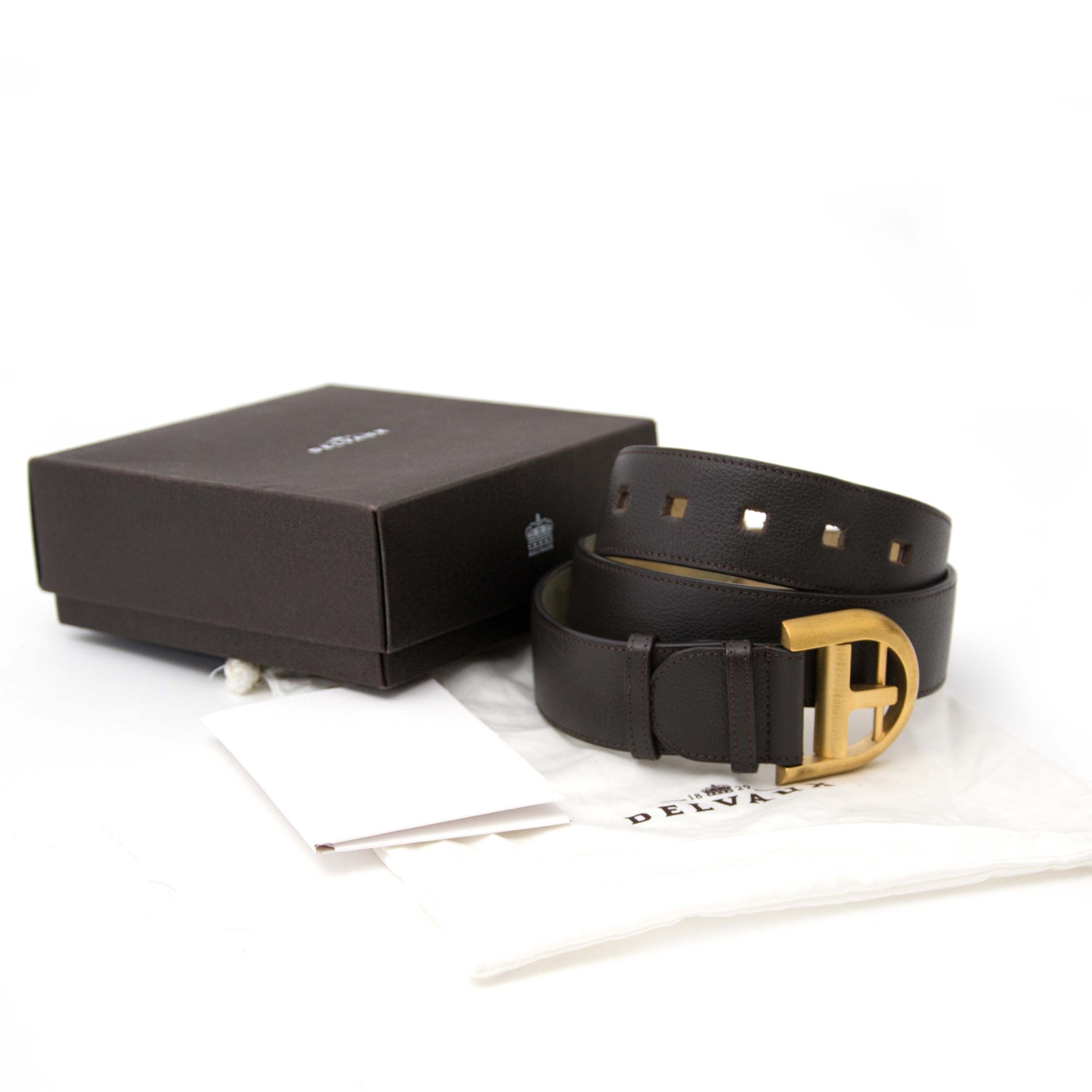 Delvaux Brillant Ceinture
