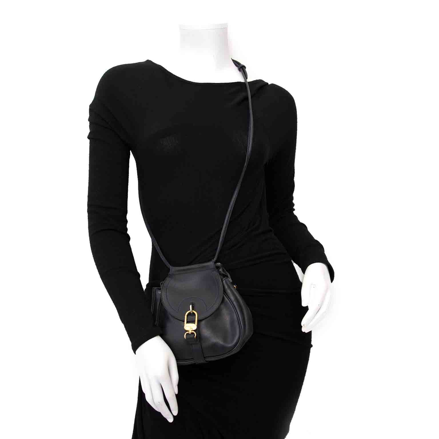 shop secondhand luxury bags online worldwide shipping Delvaux Mini Cerceau Crossbody Bag