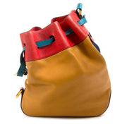 koop Delvaux Multicolor Bucketbag bij labellov aan de beste prijs
