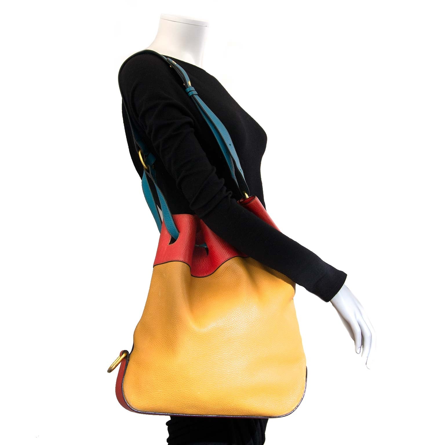 koop Delvaux Multicolor Bucketbag en betaal veilig online