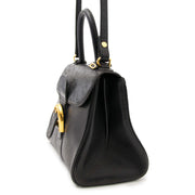 Buy safe and secure online at labellov.com for the best price Delvaux Brillant PM Black Ostrich
