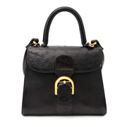 Delvaux Brillant PM Black Ostrich now online at labellov.com for the best price