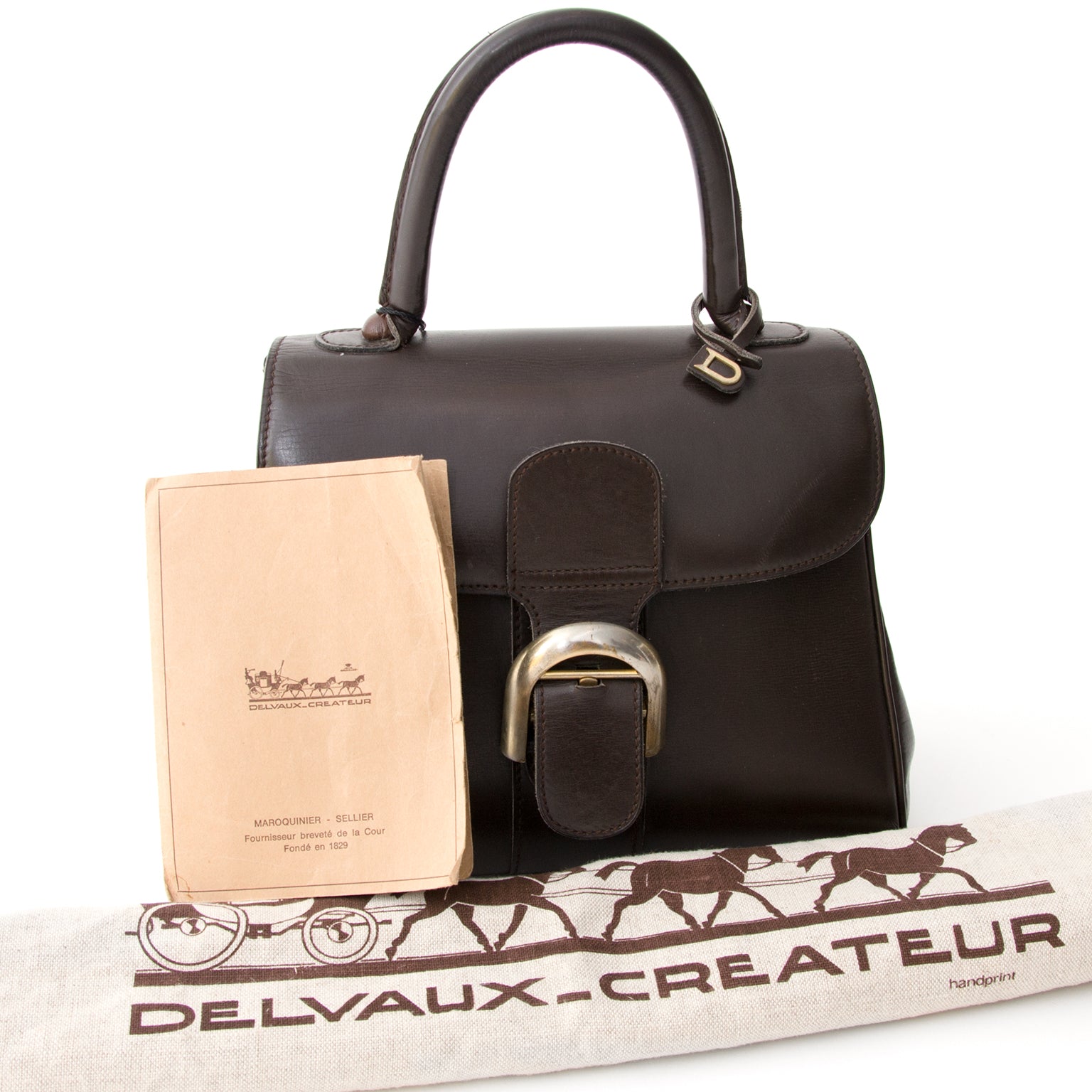 Delvaux Brillant Chocolat PM
