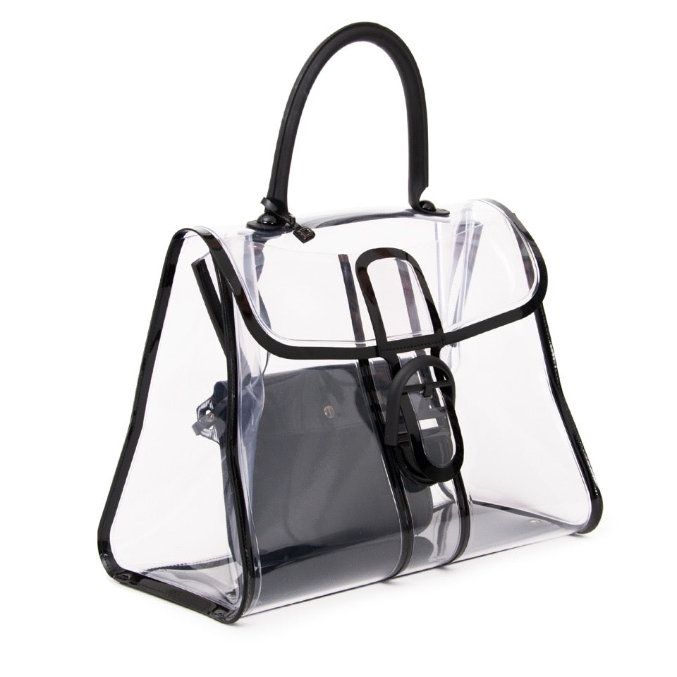 acheter en ligne seconde main sac a main Delvaux Limited Brillant XRay pour le meilleur prix
