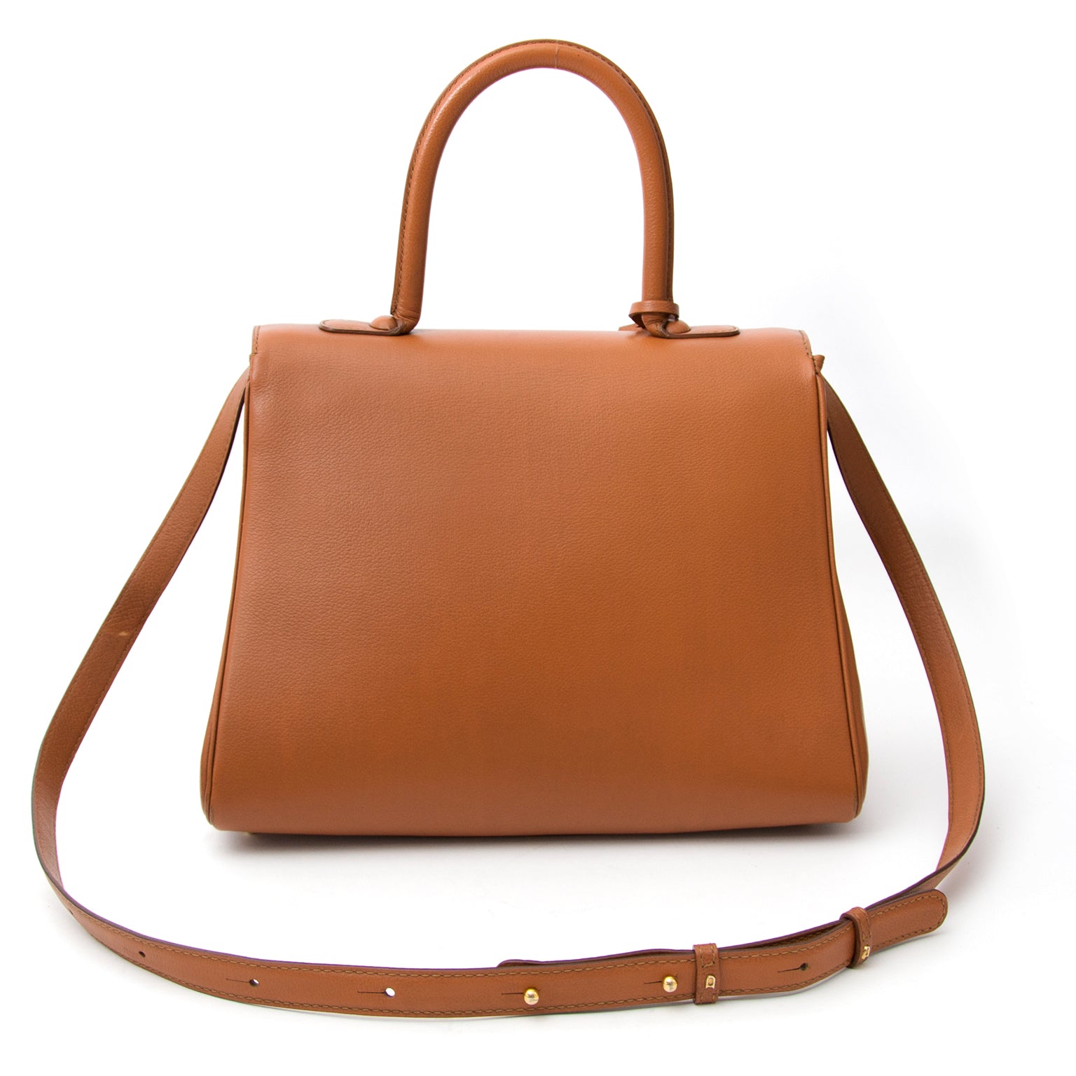 Delvaux Cognac Brillant MM + Strap