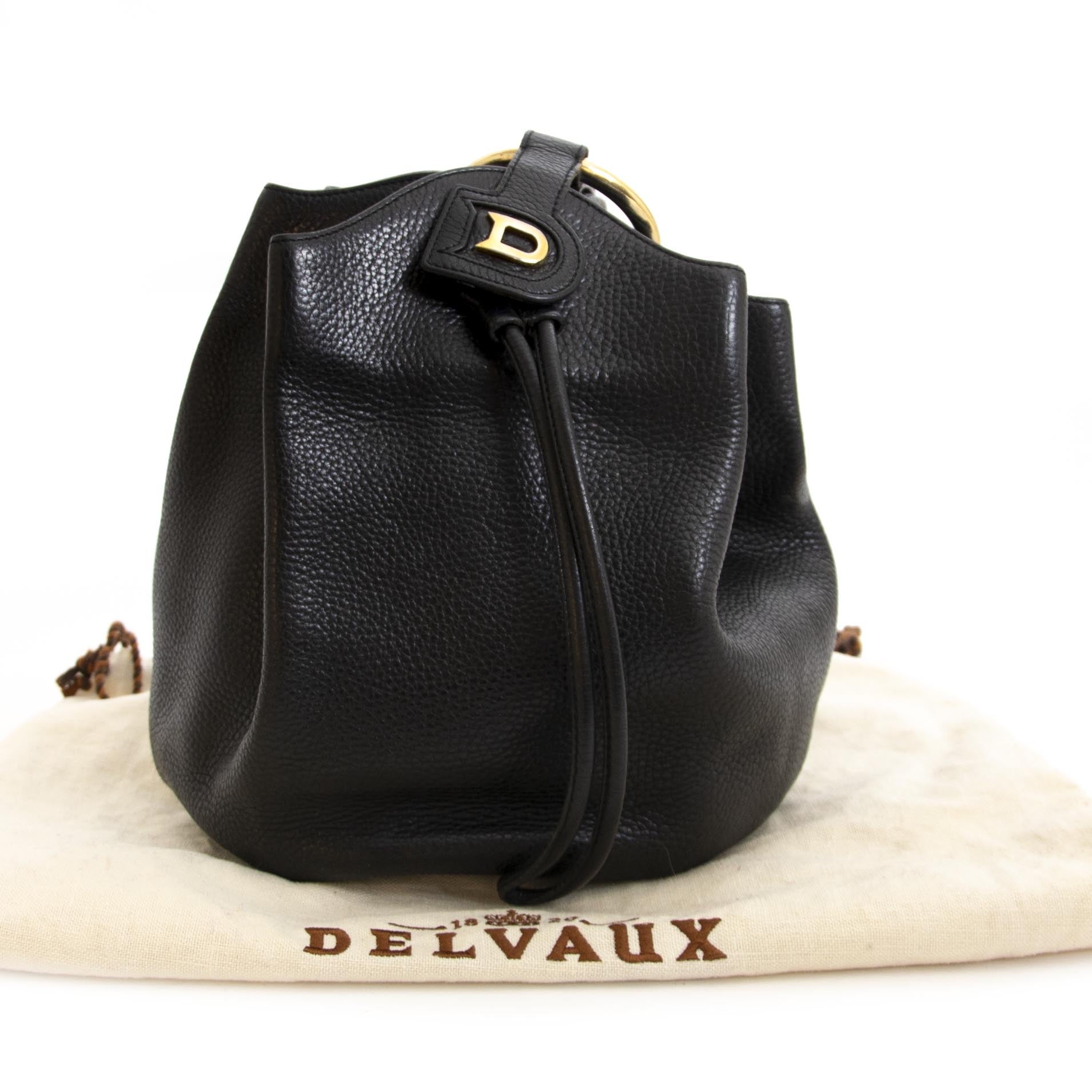 Delvaux Black Leather Rose Des Vents Bucket Bag