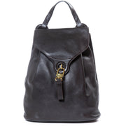 Delvaux Brown Backpack for sale